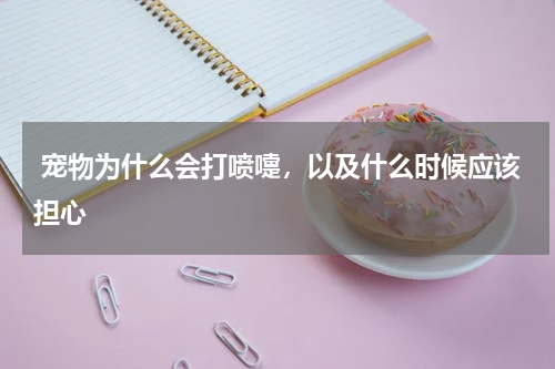  宠物为什么会打喷嚏，以及什么时候应该担心