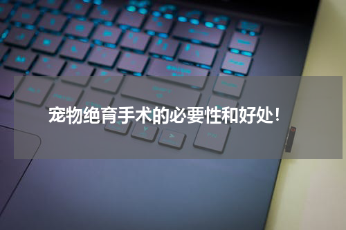  宠物绝育手术的必要性和好处！