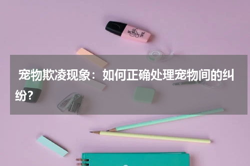 宠物欺凌现象:如何正确处理宠物间的纠纷?