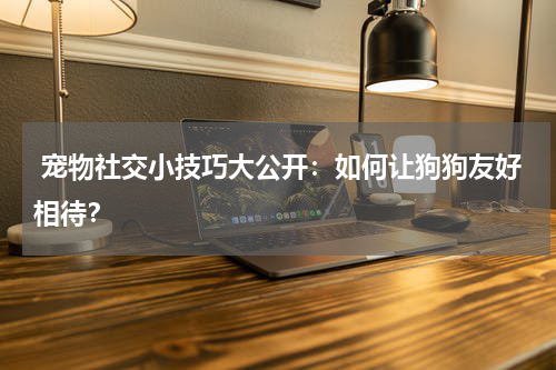 宠物社交小技巧大公开:如何让狗狗友好相待?