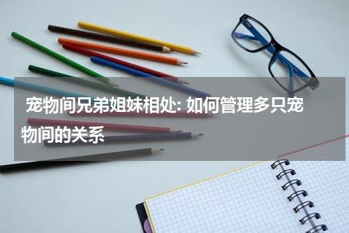 宠物间兄弟姐妹相处: 如何管理多只宠物间的关系