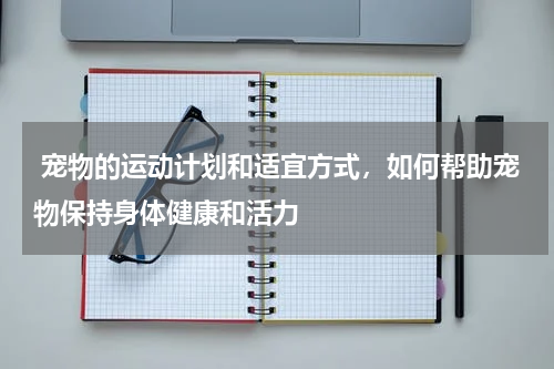  宠物的运动计划和适宜方式，如何帮助宠物保持身体健康和活力