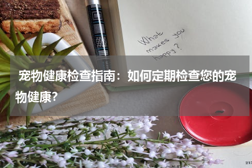 宠物健康检查指南:如何定期检查您的宠物健康?