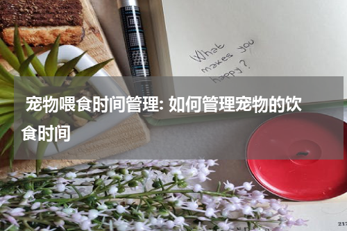 宠物喂食时间管理: 如何管理宠物的饮食时间