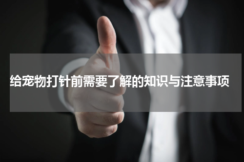 给宠物打针前需要了解的知识与注意事项