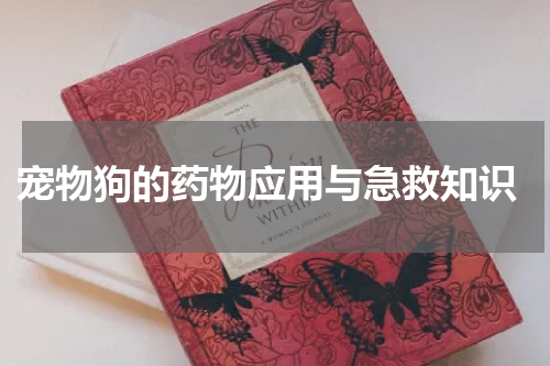 宠物狗的药物应用与急救知识