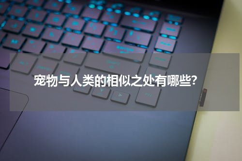 宠物与人类的相似之处有哪些?