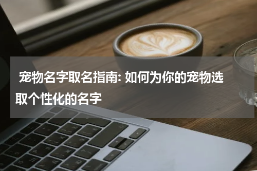 宠物名字取名指南: 如何为你的宠物选取个性化的名字
