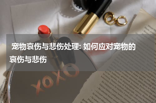 宠物哀伤与悲伤处理: 如何应对宠物的哀伤与悲伤