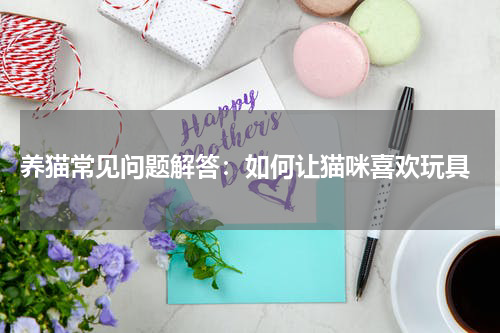 养猫常见问题解答:如何让猫咪喜欢玩具