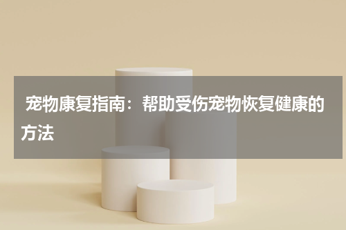 宠物康复指南:帮助受伤宠物恢复健康的方法