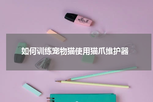 如何训练宠物猫使用猫爪维护器