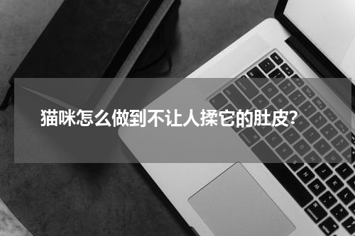 猫咪怎么做到不让人揉它的肚皮?