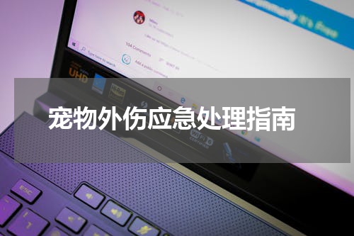 宠物外伤应急处理指南