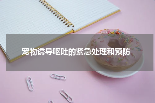  宠物诱导呕吐的紧急处理和预防