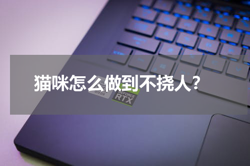 猫咪怎么做到不挠人?
