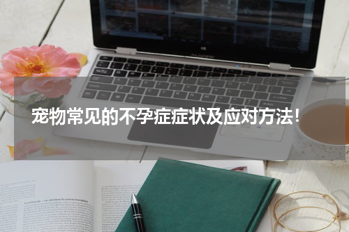 宠物常见的不孕症症状及应对方法!