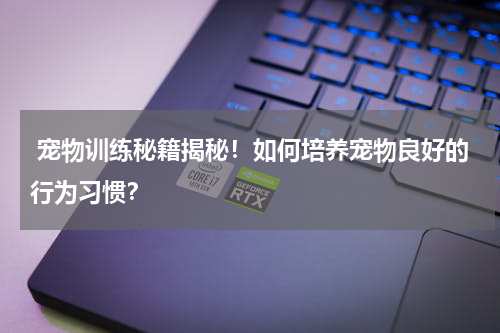 宠物训练秘籍揭秘!如何培养宠物良好的行为习惯?