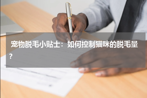 宠物脱毛小贴士:如何控制猫咪的脱毛量?