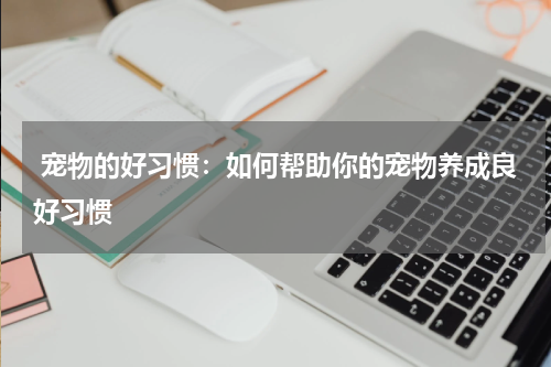 宠物的好习惯:如何帮助你的宠物养成良好习惯