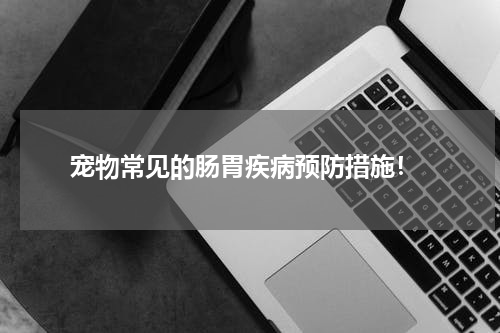 宠物常见的肠胃疾病预防措施!