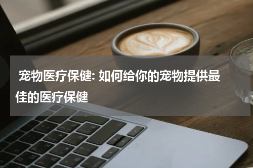 宠物医疗保健: 如何给你的宠物提供最佳的医疗保健