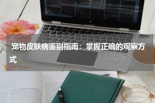 宠物皮肤病鉴别指南:掌握正确的观察方式