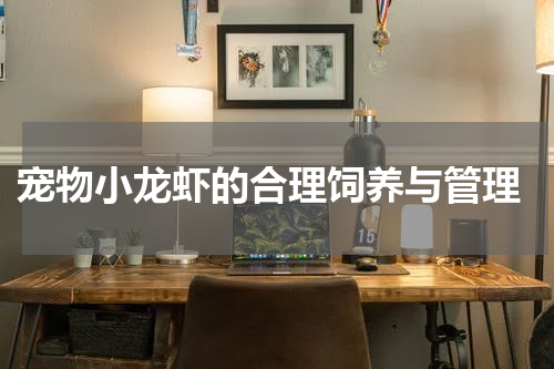 宠物小龙虾的合理饲养与管理