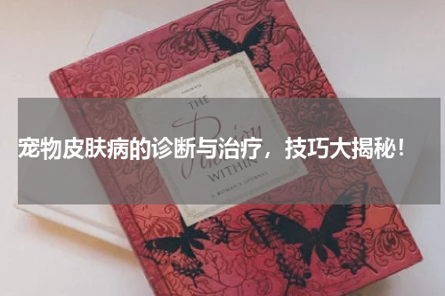 宠物皮肤病的诊断与治疗,技巧大揭秘!