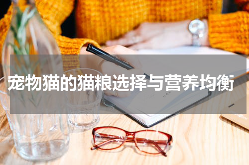  宠物猫的猫粮选择与营养均衡