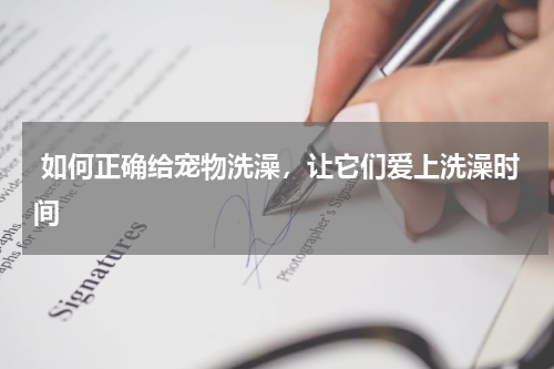  如何正确给宠物洗澡，让它们爱上洗澡时间