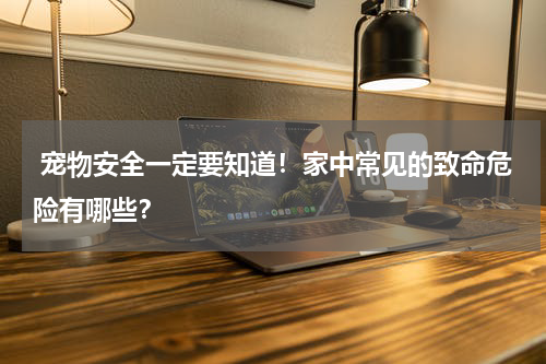 宠物安全一定要知道!家中常见的致命危险有哪些?