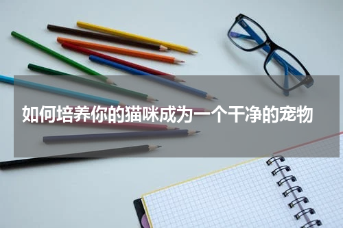 如何培养你的猫咪成为一个干净的宠物