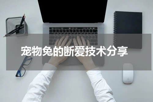 宠物兔的断爱技术分享