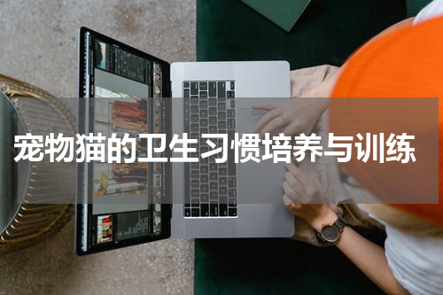 宠物猫的卫生习惯培养与训练