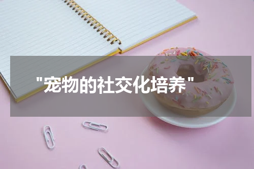  "宠物的社交化培养"