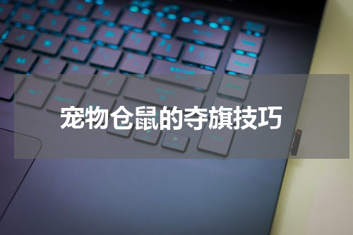 宠物仓鼠的夺旗技巧