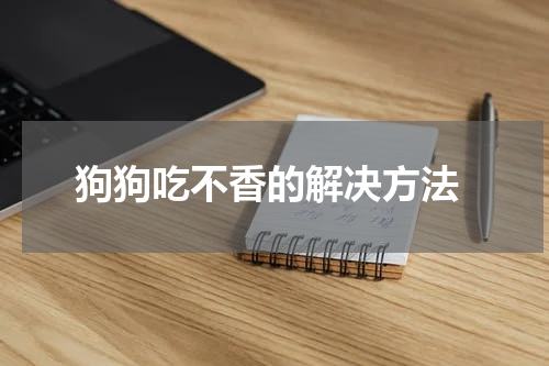 狗狗吃不香的解决方法