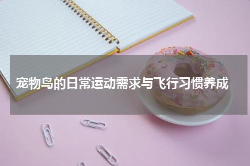 宠物鸟的日常运动需求与飞行习惯养成