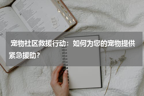 宠物社区救援行动:如何为您的宠物提供紧急援助?