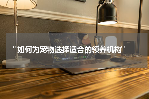 "如何为宠物选择适合的领养机构"