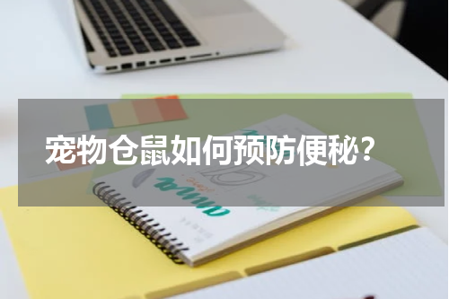 宠物仓鼠如何预防便秘?