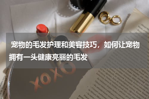  宠物的毛发护理和美容技巧，如何让宠物拥有一头健康亮丽的毛发