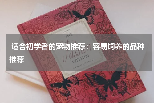  适合初学者的宠物推荐：容易饲养的品种推荐