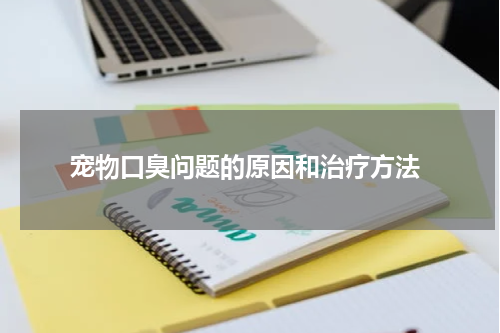  宠物口臭问题的原因和治疗方法