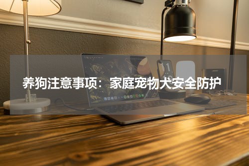 养狗注意事项:家庭宠物犬安全防护