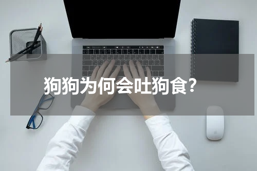 狗狗为何会吐狗食?