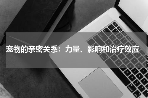  宠物的亲密关系：力量、影响和治疗效应