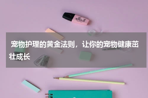  宠物护理的黄金法则，让你的宠物健康茁壮成长