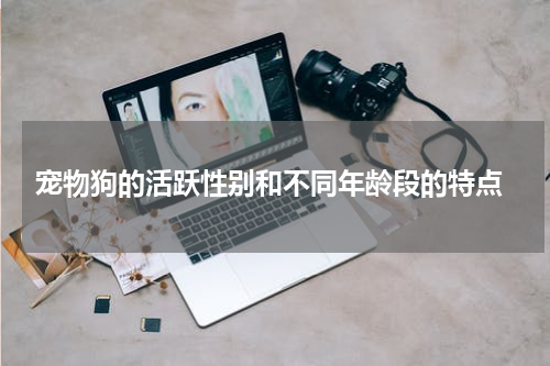 宠物狗的活跃性别和不同年龄段的特点
